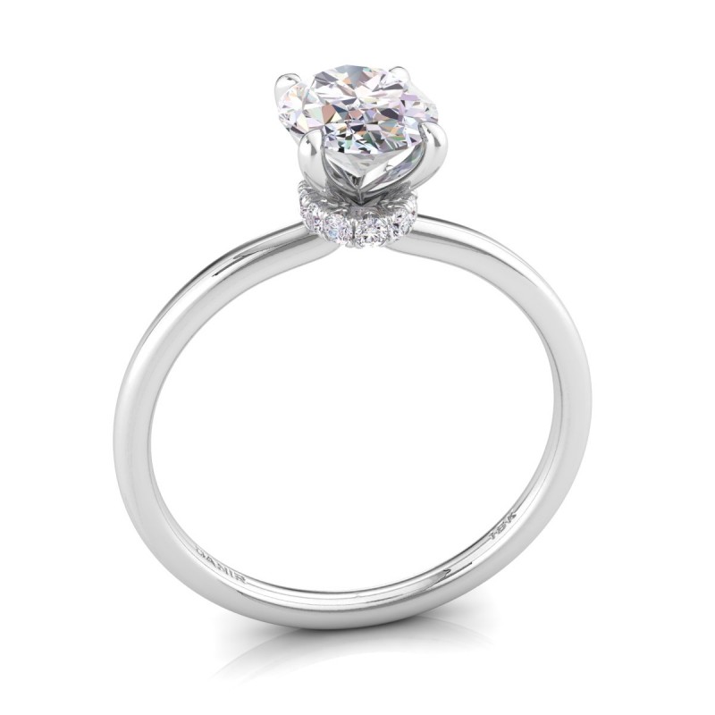 Hidden Halo Oval Diamond Engagement Ring Platinum
